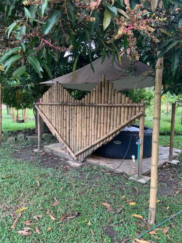 a wooden bench sitting in the grass under a tree at Ginebra Glamping in Ginebra