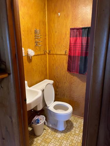 a bathroom with a toilet and a sink at FireHouse Inn in Saint Ignace