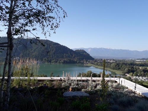 Un paisaje natural cerca del departamento