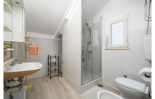 a bathroom with a shower and a toilet and a sink at Lovely Apartment In Tar With Kitchen in Tar