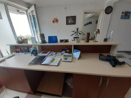 an office with a desk with books and a mirror at Guest House Zarnovel Palace in Ohrid