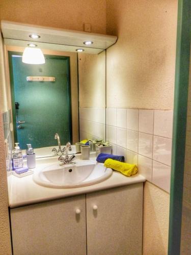 une salle de bain avec un lavabo et un miroir dans l'établissement Part-Dieu Lyon Appart, à Lyon