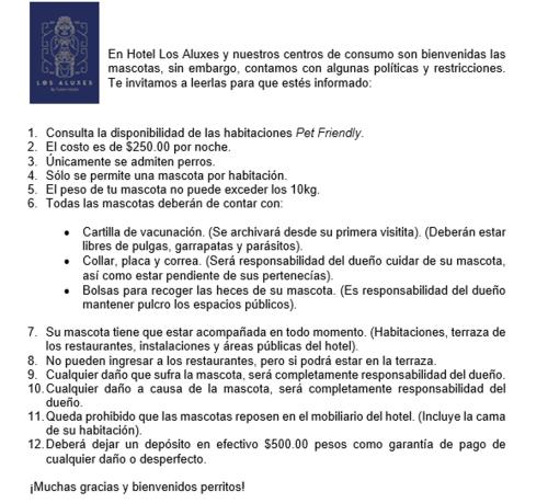 Φωτογραφία από το άλμπουμ του Hotel Los Aluxes σε Mérida