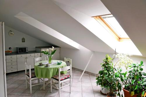 uma cozinha com uma mesa e algumas plantas num quarto em Apartment Fiumara em Rijeka