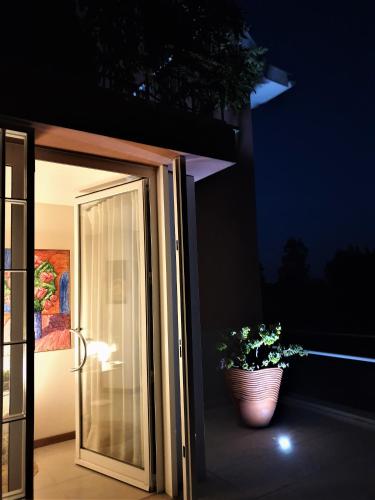 an open door with a potted plant in a pot at Alto Belo in Felgueiras