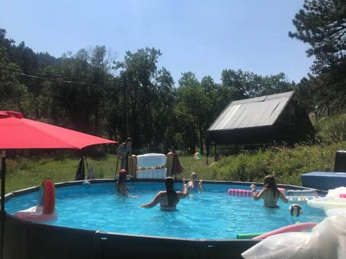 un grupo de personas jugando en una piscina en Sunshine Daydream Boulder Mountain Home - walk to Pearl St. / hiking, en Boulder