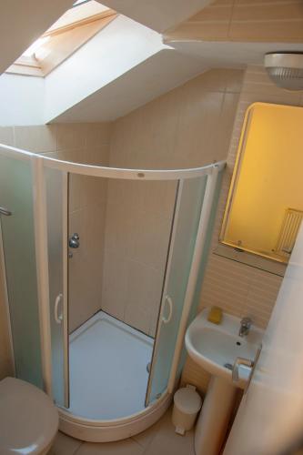 a bathroom with a shower and a toilet and a sink at Smestaj Vella in Herceg-Novi