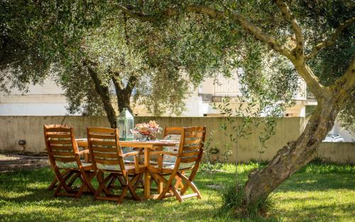 Κήπος έξω από το Koxyli Studios & Apartments 