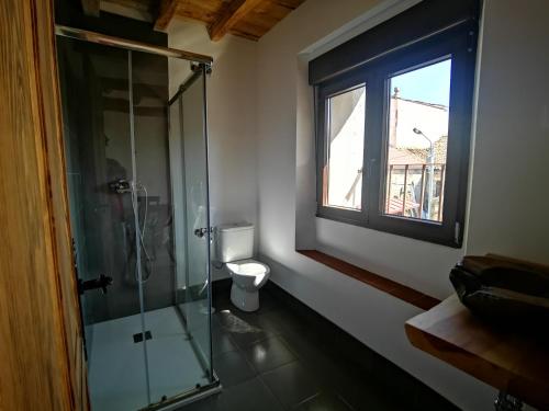 La salle de bains est pourvue d'une douche en verre et de toilettes. dans l'établissement Casa Rural Casona Camino Pedraza - 4 Estrellas, à Arcones