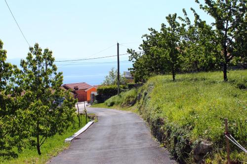 a dirt road with trees on the side of a hill at Apartments with WiFi Opric, Opatija - 7756 in Lovran
