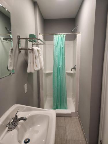 a bathroom with a sink and a shower with a green shower curtain at Budget Inn Horseheads in Horseheads