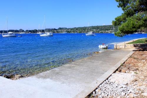 Fotografie z fotogalerie ubytování Apartments by the sea Ilovik, Losinj - 12275 v destinaci Ilovik