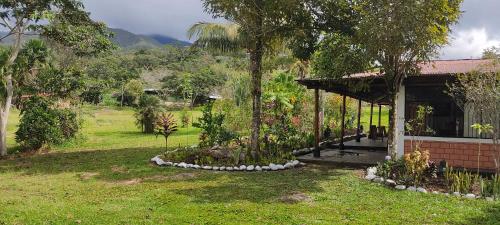 Fotografie z fotogalerie ubytování Selva Mayo v destinaci Moyobamba