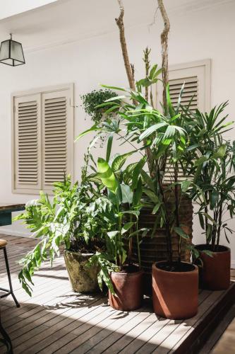Taman di luar Brown Feather Hotel