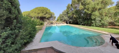 una vista aérea de una piscina con árboles en Cortijo Correa, en Marbella