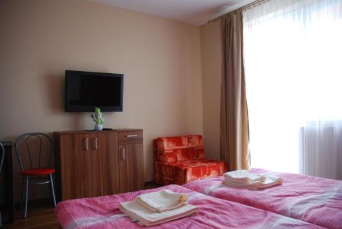 a bedroom with a bed and a tv and a chair at Fridrich apartman in Veľký Meder