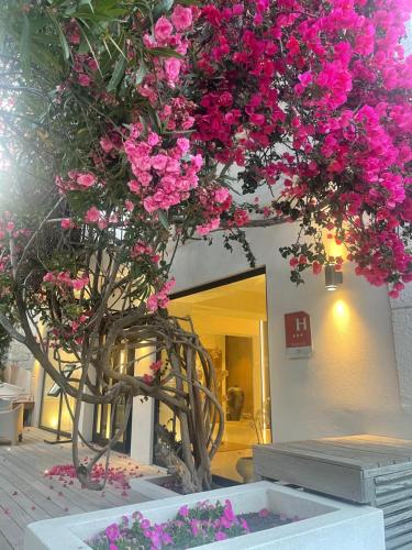 Un jardín fuera de Hôtel Le Mistral