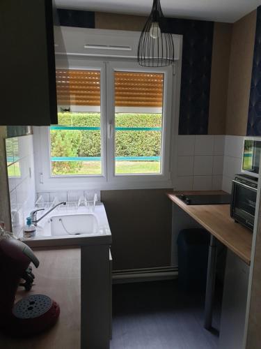 een keuken met een wastafel en 2 ramen bij Appartement, Verdun , proche centre ville in Verdun-sur-Meuse