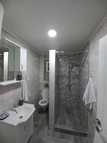 uma casa de banho com um chuveiro, um lavatório e um WC. em Adagio Studio Apartment em Plav
