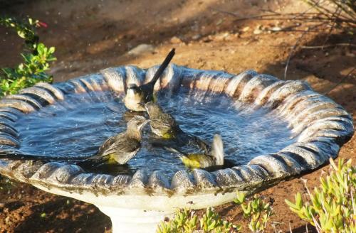 Φωτογραφία από το άλμπουμ του Sieniesee σε Mossel Bay