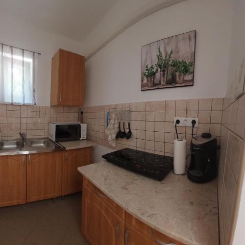 - une cuisine avec un évier et un comptoir dans l'établissement Balassa Családi Apartman, à Vonyarcvashegy