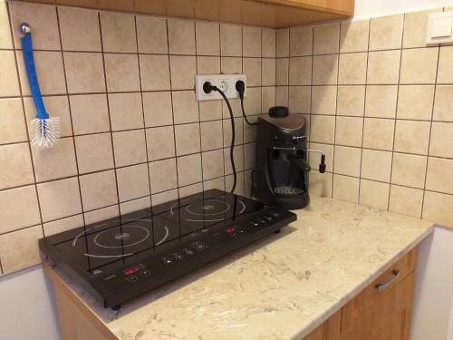 a kitchen counter with a stove top in a kitchen at Balassa Családi Apartman in Vonyarcvashegy