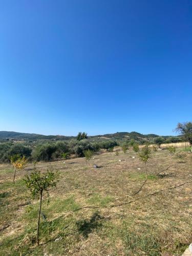 a field with trees and a blue sky at Moi country villa in Agios Nikolaos