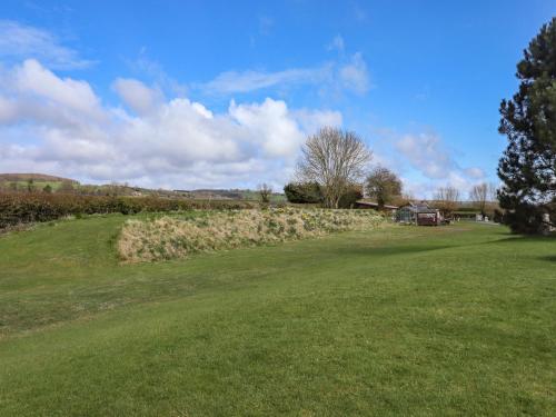 a large grassy field with a tree in the distance at The Ticket Office Allerston in Pickering