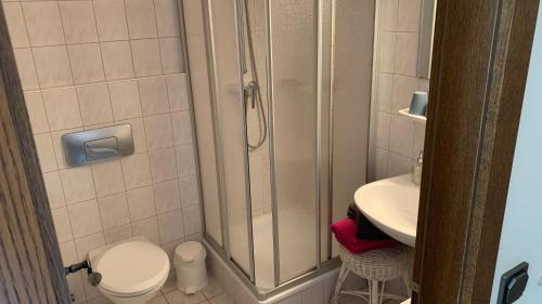 Koupelna v ubytování Hotel Almenrausch