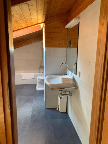 La salle de bains est pourvue d'un lavabo et de toilettes. dans l'établissement Ski und Therme 1, à Bad Kleinkirchheim