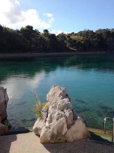 a large rock sitting next to a body of water at Apartman Marija II in Omišalj