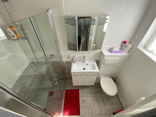 La salle de bains est pourvue d'une douche, de toilettes et d'un lavabo. dans l'établissement Elsasslogie im Winzerdorf, à Cleebourg