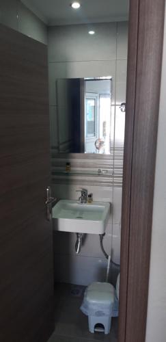 a bathroom with a sink and a toilet and a mirror at Euro Park Hotel in Astris