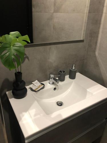 a bathroom sink with a potted plant on it at Le Quattro Porte in Marsala