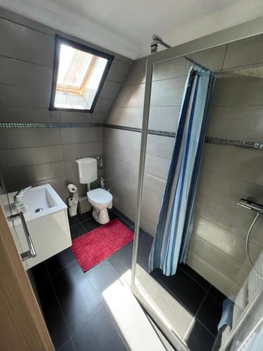 a small bathroom with a shower and a toilet at Mandula Apartmanok in Badacsonytomaj