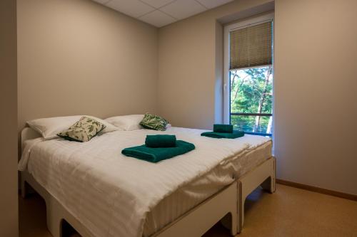 a bedroom with a bed with two green pillows on it at Jõesuu Guesthouse in Vääna-Jõesuu