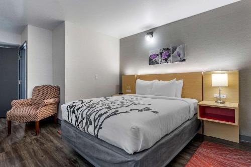 une chambre d'hôtel avec un lit et une chaise dans l'établissement Sleep Inn & Suites, à Jerome