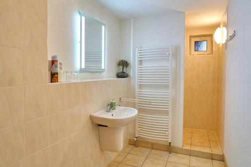 a bathroom with a white sink and a shower at Penzion Mona in Jeseník