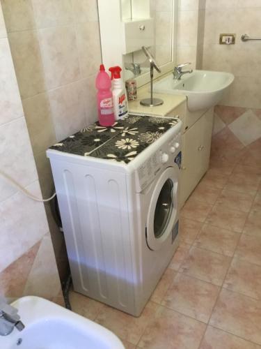 a washing machine in a bathroom with a sink at Appartamento a Marina di San Nicola Roma in Palo