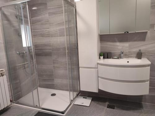 a bathroom with a shower and a sink at Apartman President in Krapinske Toplice