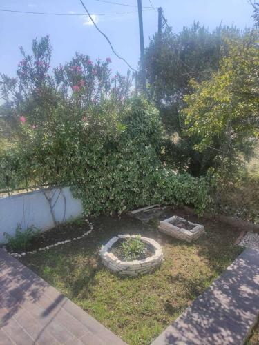 Gallery image of Olive tree house in Sozopoli