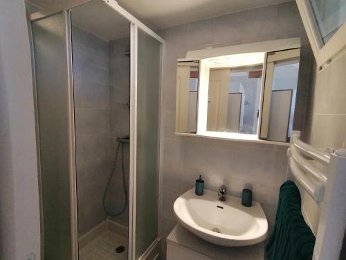 a bathroom with a sink and a shower at Ground floor studio with access to beach and pool in Le Barcarès