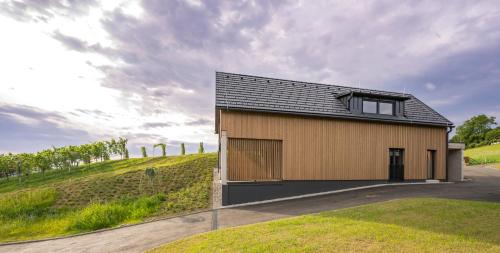 a house on a hill with a garage at WeinZeit Chalets in Gamlitz