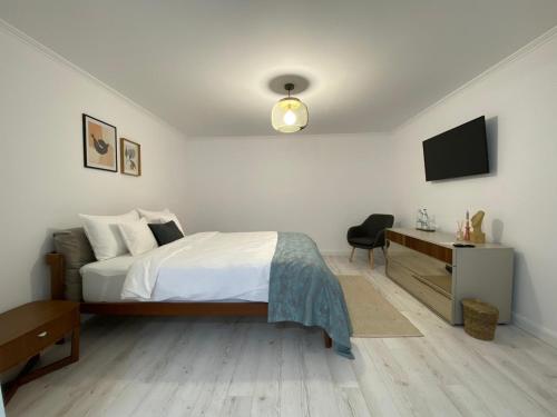 Televiisor ja/või meelelahutuskeskus majutusasutuses Cosy Apartments & Bistro Pufești