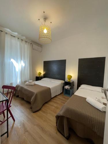 Suite Falisci