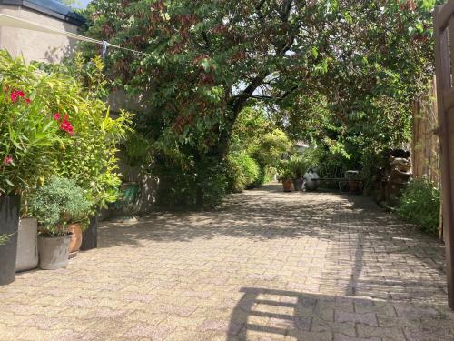 Maisonnette studio Arcachon 300m plage
