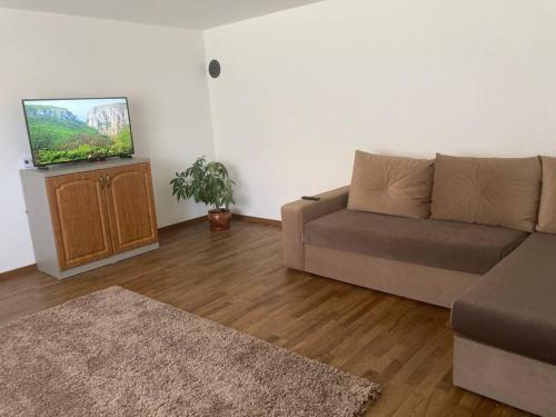 Casa Cheilor في Petreştii de Jos: غرفة معيشة مع أريكة وتلفزيون بشاشة مسطحة