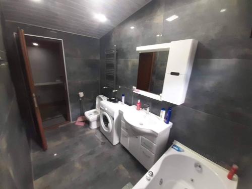 La salle de bains est pourvue d'un lavabo, de toilettes et d'un miroir. dans l'établissement Aleqs, à Tbilissi