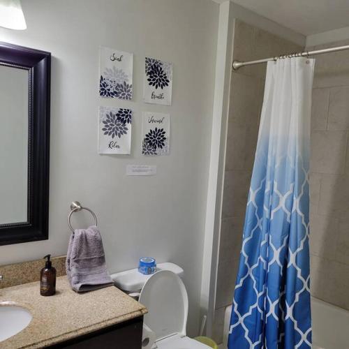 uma casa de banho com uma cortina de chuveiro e um WC em Private 1 BDR with Free Parking, Just 5 Minutes from Downtown em Indianápolis