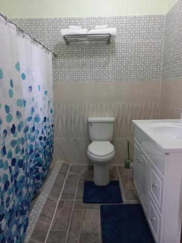 a bathroom with a toilet and a sink and a shower curtain at Stoney Gate Cottages in Negril